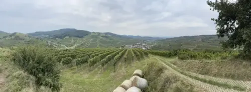 Ausblick Kaiserstuhl