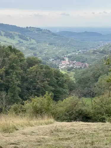 Ausblick Kaiserstuhl